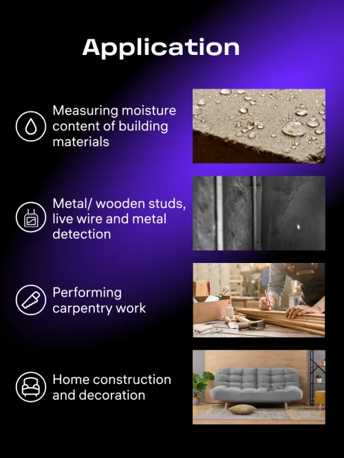 photograph Ermenrich Ping TM100 2-in-1 Stud and Moisture Detector, image 11