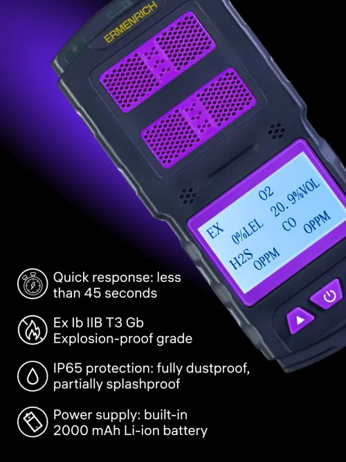photograph Ermenrich NG60 Gas Detector, image 12